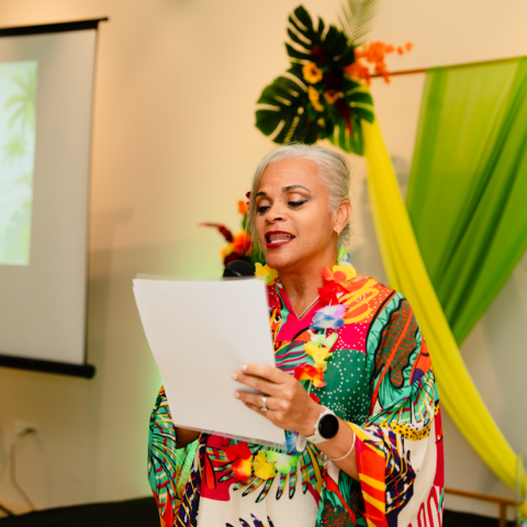 a person standing in front of a television