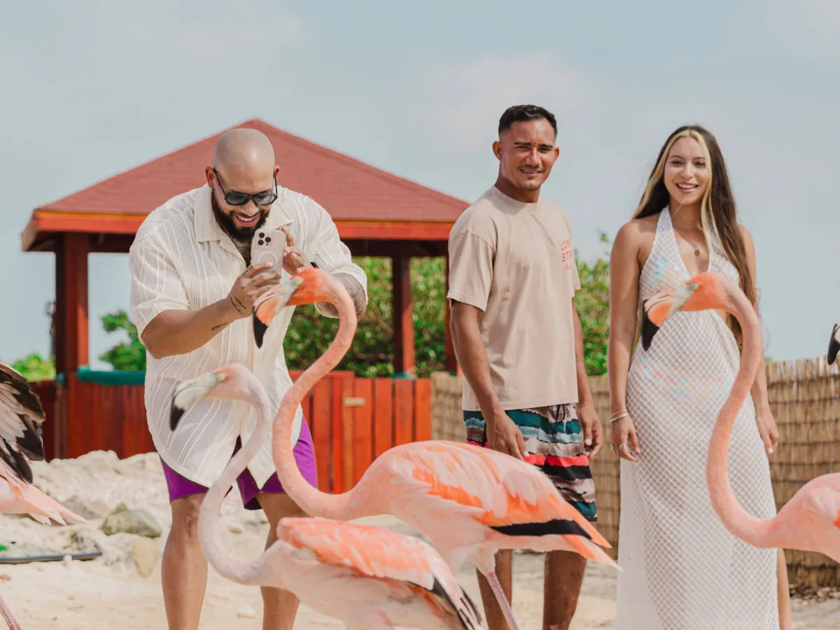 Three people interacting with flamingos on a sandy beach with a wooden hut in the background.