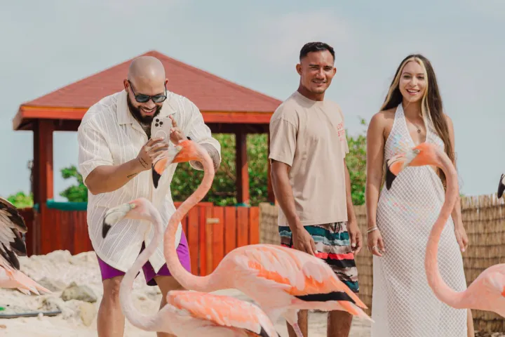 Three people interacting with flamingos on a sandy beach with a wooden hut in the background.