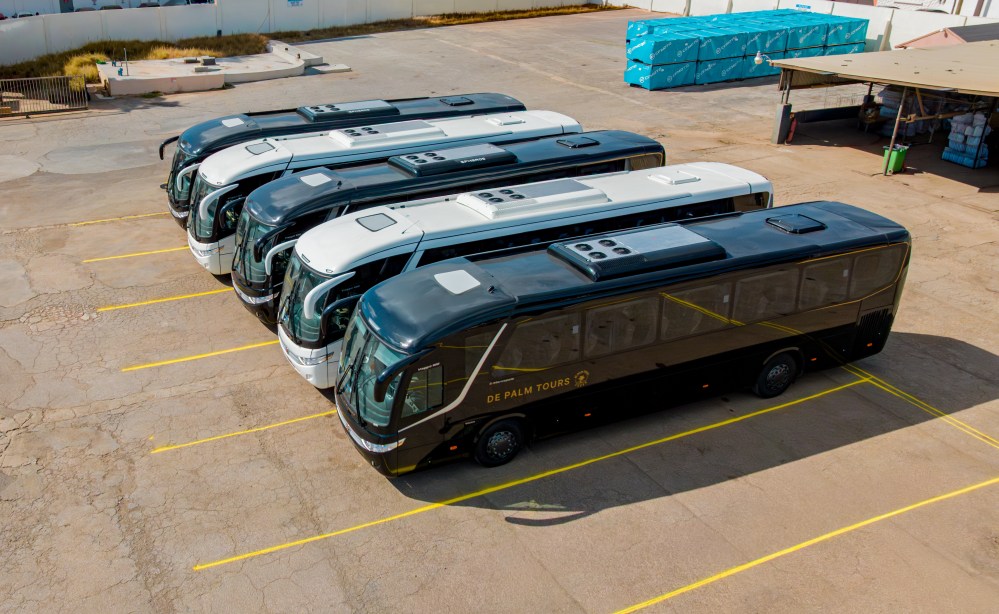 Five black and white buses parked in a row in a lot.