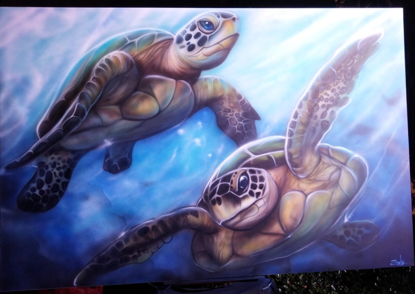 Two sea turtles swimming underwater with light streaming through.