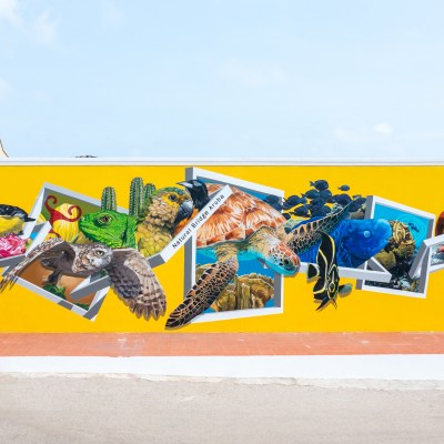 Colorful mural of various animals on a bright yellow building wall.