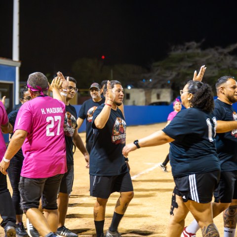 Group of people on a sports field, some wearing matching jerseys, exchanging high-fives.