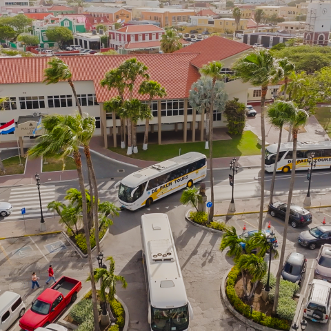 Aerial view of a busy street with buses, cars, and palm trees.