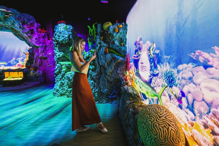 Woman interacts with colorful underwater-themed digital exhibit.