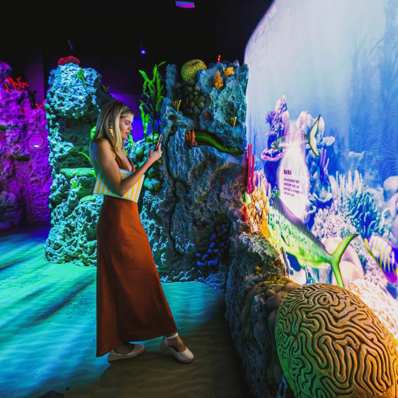 Woman interacts with colorful underwater-themed digital exhibit.