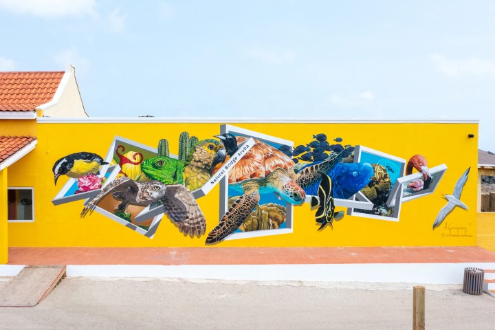Colorful mural of various animals on a bright yellow wall.
