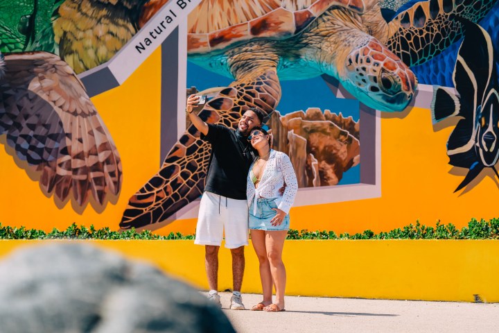 Two people take a selfie in front of a colorful turtle mural on a sunny day.