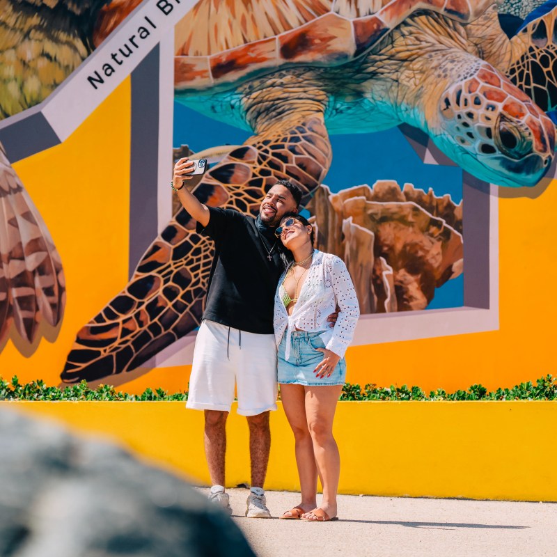 Two people take a selfie in front of a colorful turtle mural on a sunny day.